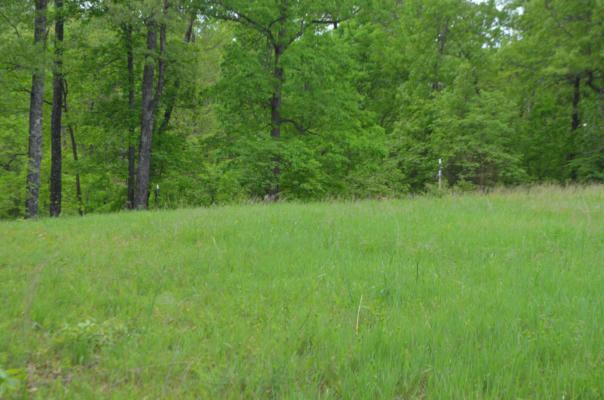 LOT 13 LOOKOUT POINT, BRUNER, MO 65620, photo 4 of 29