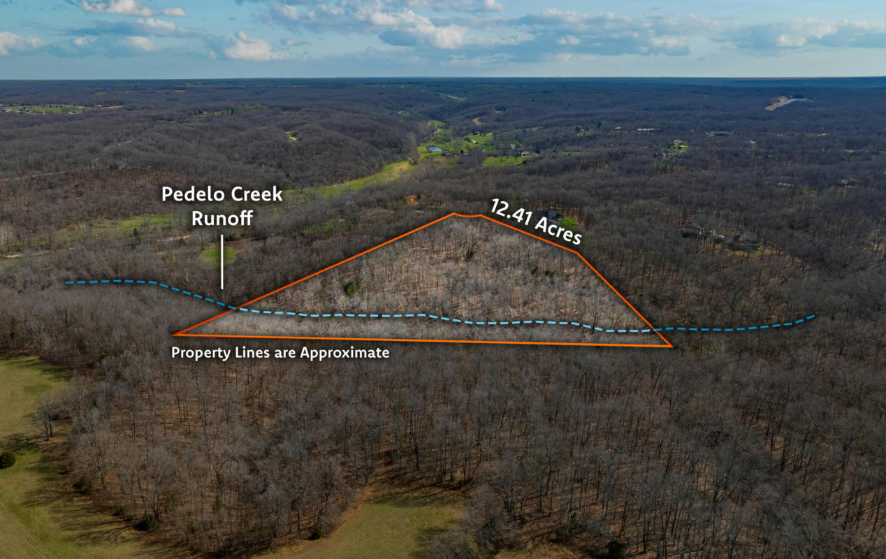 LOT 11 VALLEY VIEW ROAD, ROGERSVILLE, MO 65742, photo 1 of 39