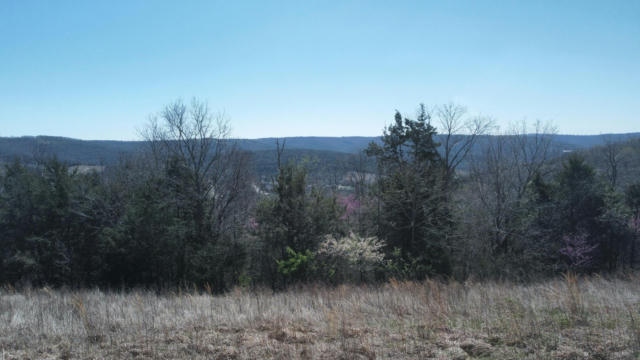 000 EMERALD POINT LOT 327 DRIVE, HOLLISTER, MO 65672, photo 3 of 6