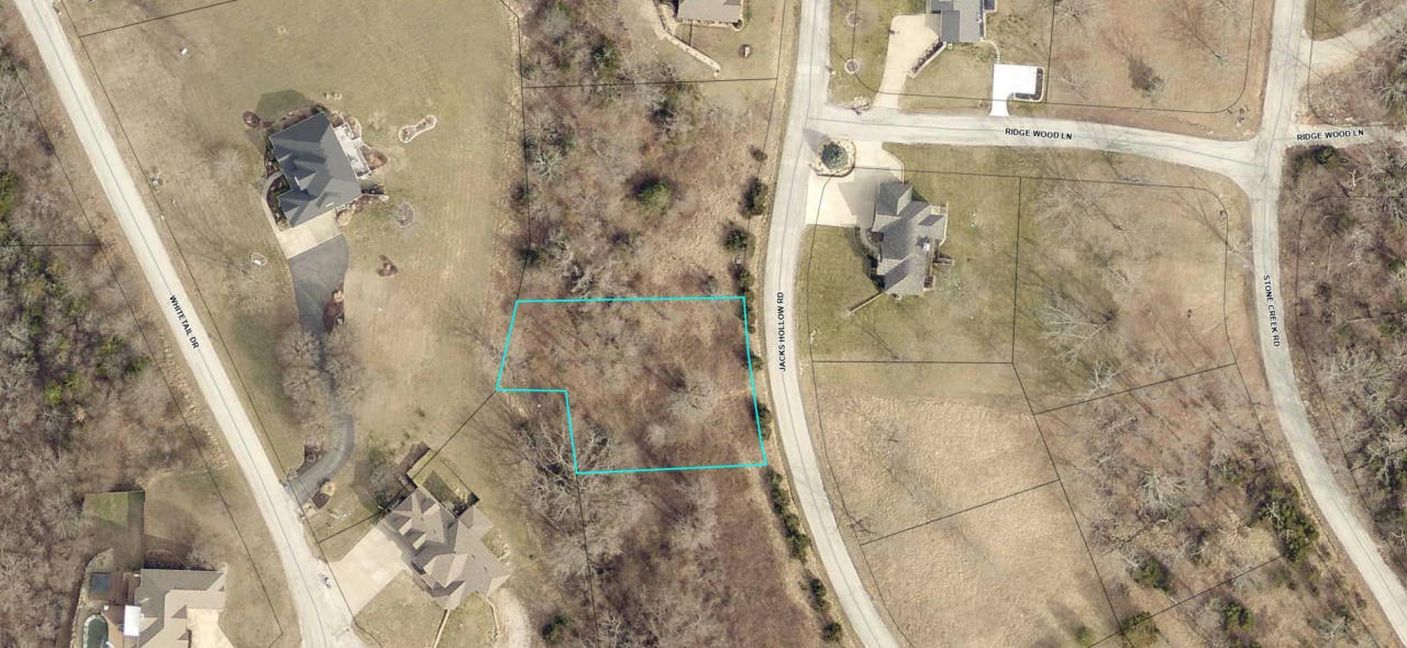 LOT 58 JACKS HOLLOW ROAD, WALNUT SHADE, MO 65771, photo 1 of 2