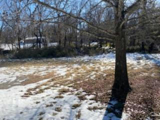 000 LOT 8 FOGGY RIVER ROAD, HOLLISTER, MO 65672, photo 2 of 5