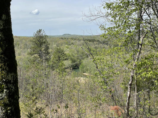 000 BLUEBIRD ROAD LOT 65, EMINENCE, MO 65466 - Image 1