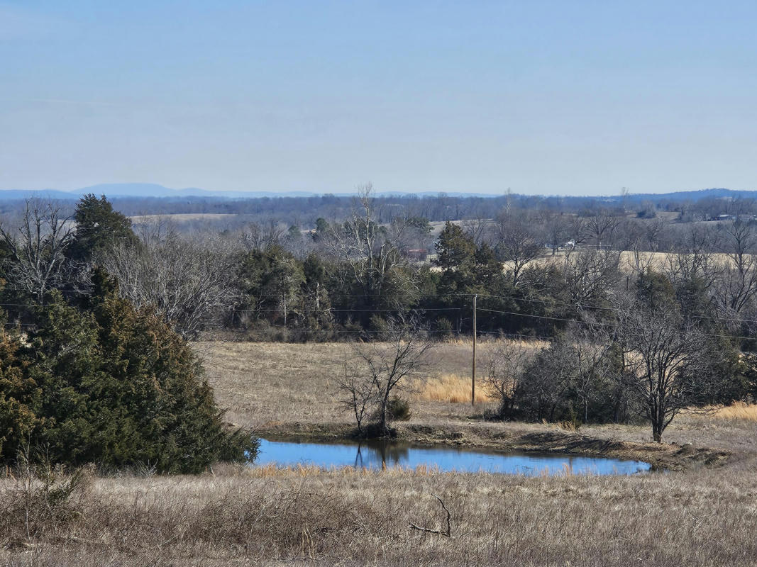 CR 160-900 US HIGHWAY 160, THEODOSIA, MO 65761, photo 1 of 10