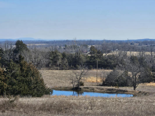 CR 160-900 US HIGHWAY 160, THEODOSIA, MO 65761 - Image 1