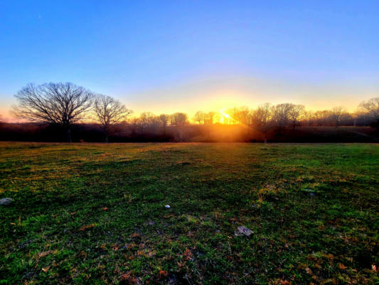 TRACT 2 DOGWOOD TREE ROAD, REEDS SPRING, MO 65737, photo 5 of 22