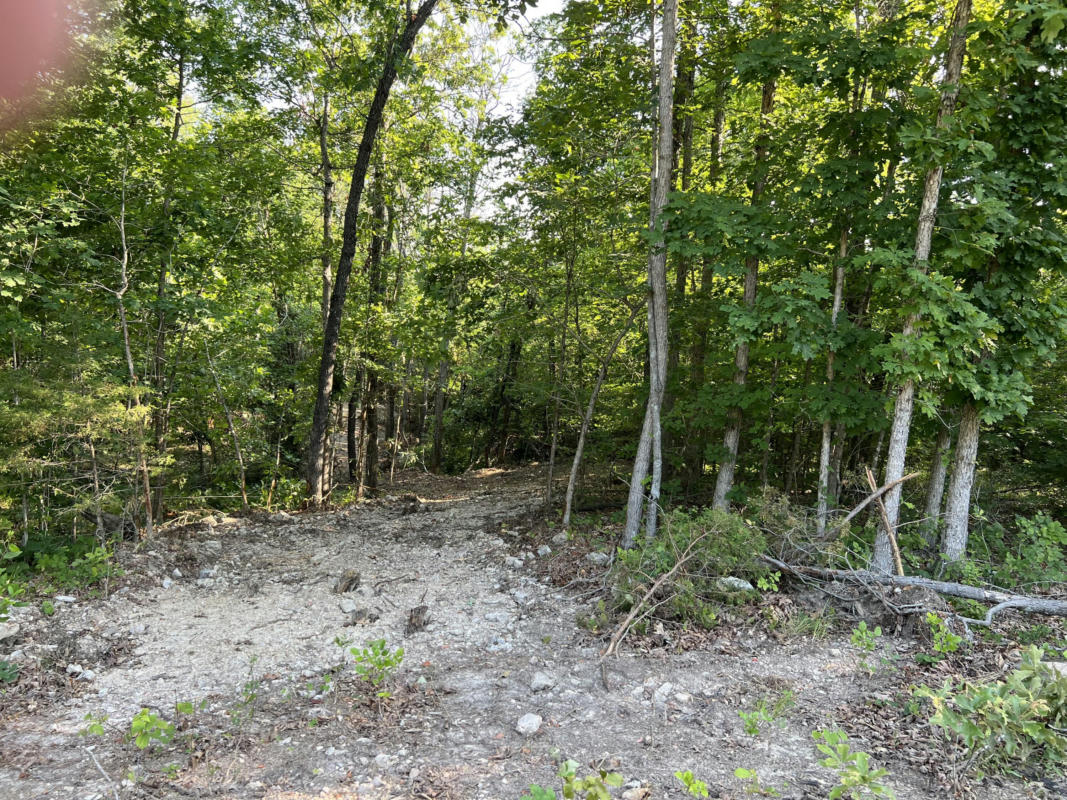 2379 COUNTY ROAD 359 LOT 7, THAYER, MO 65791, photo 1 of 2