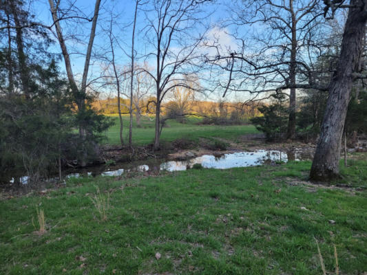 000 COUNTY RD 931, THORNFIELD, MO 65762 - Image 1