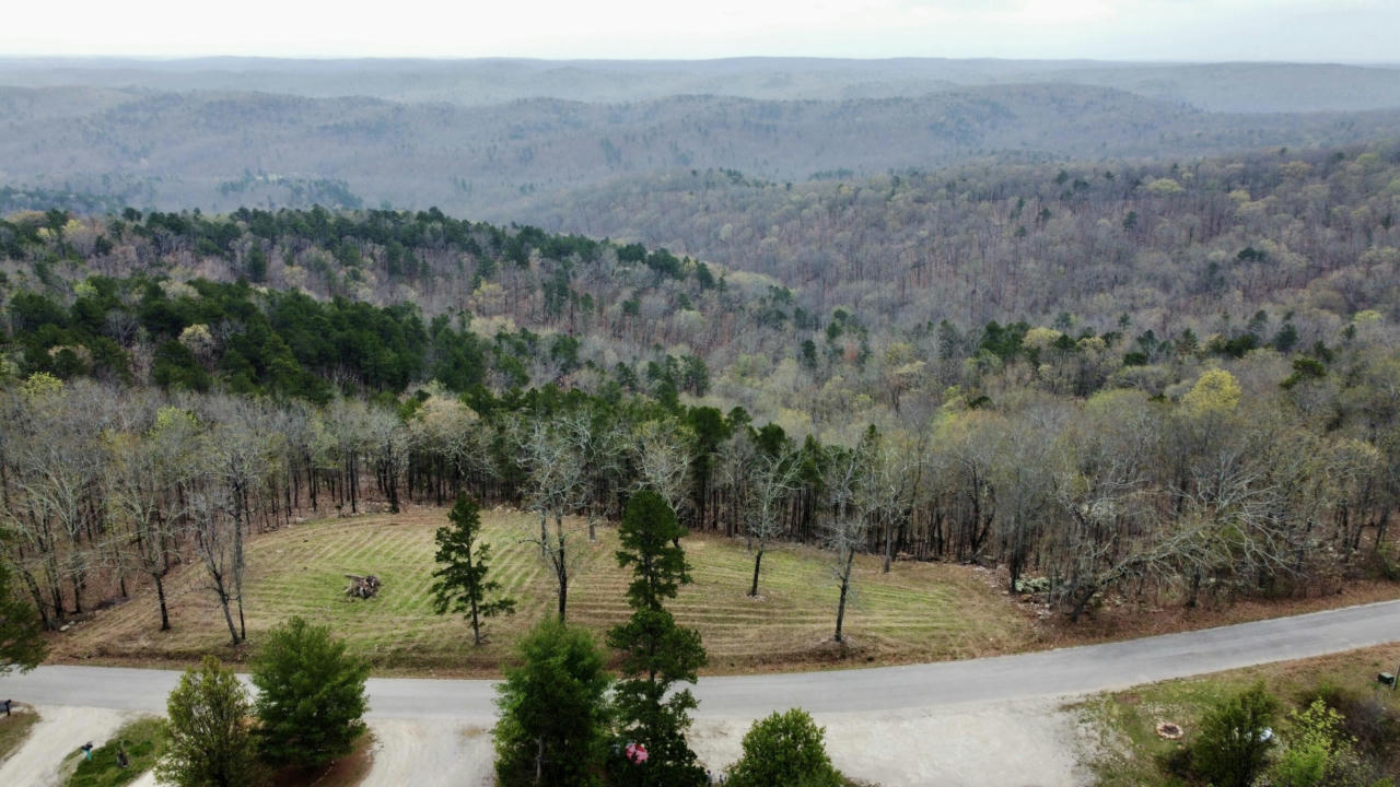 000 SKYLINE DRIVE, VAN BUREN, MO 63965, photo 1 of 12