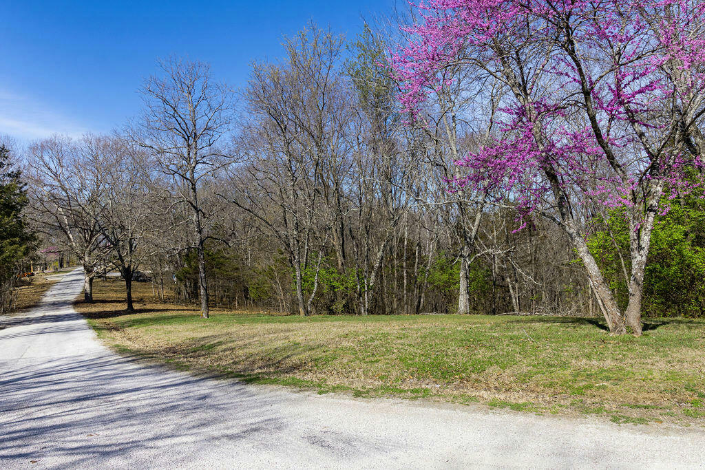 LOT 13&14 ANCE ACRES LANE, REEDS SPRING, MO 65737, photo 1 of 7