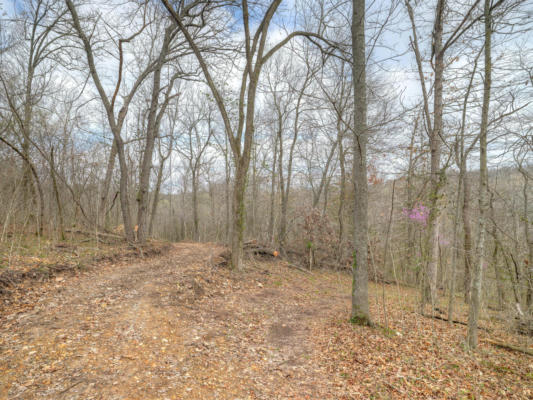 TRACT 3 8.90 ACRES WILDERNESS WAY, ANDERSON, MO 64831 - Image 1