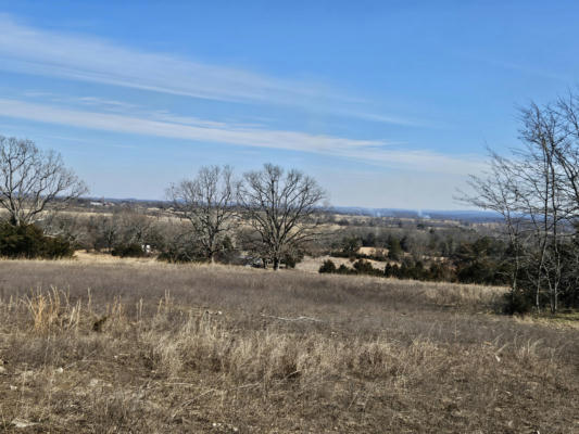 CR 160-900 US HIGHWAY 160, THEODOSIA, MO 65761, photo 5 of 10