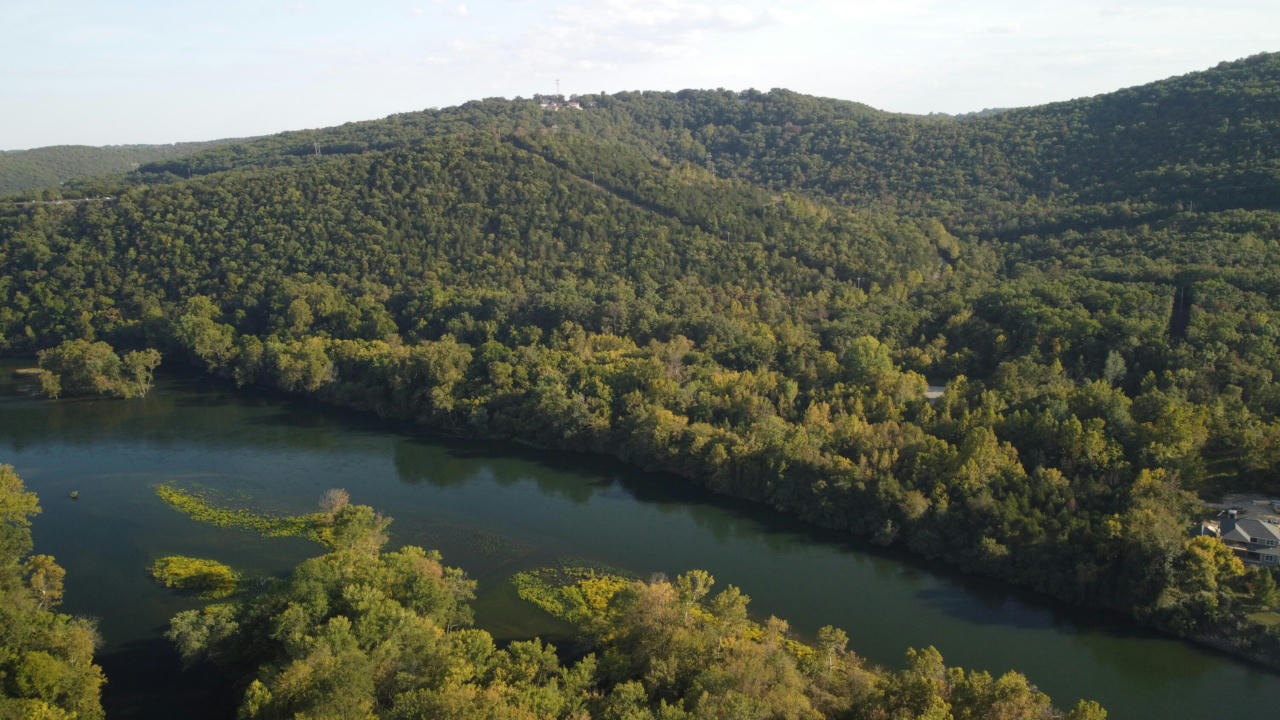 000 HISTORIC HIGHWAY 165, HOLLISTER, MO 65672, photo 1 of 11