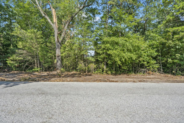 LOT 8A POKEBERRY LANE, LAMPE, MO 65681, photo 4 of 21