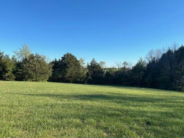LOT 11 MULBERRY ROAD, HIGHLANDVILLE, MO 65669, photo 1 of 5