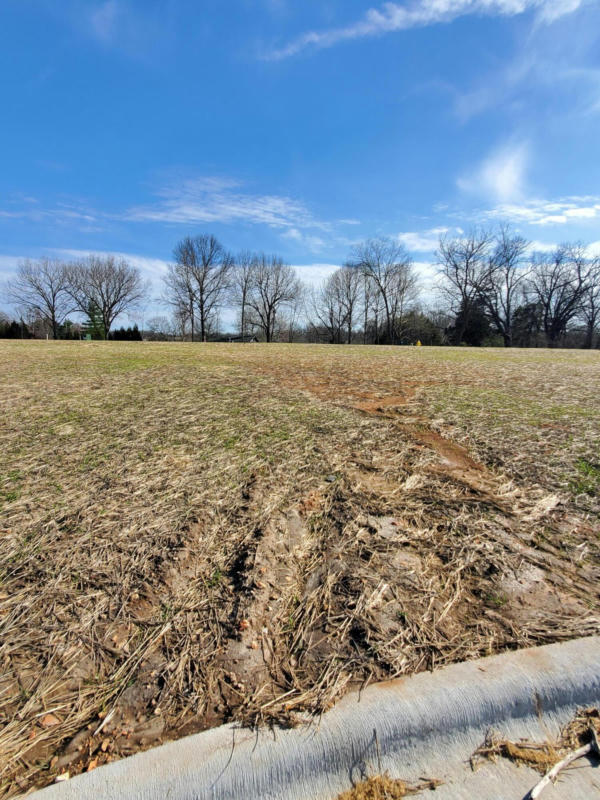 LOT 42 VINTAGE POINTE, SPRINGFIELD, MO 65809, photo 1 of 3