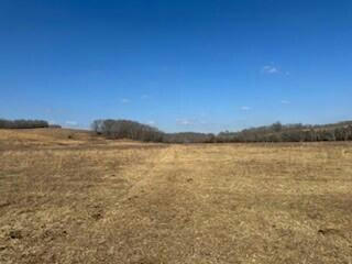 000 95-CC, DRURY, MO 65638 - Image 1