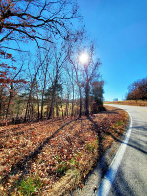 23952 STATE HIGHWAY 76, BRADLEYVILLE, MO 65614, photo 4 of 7