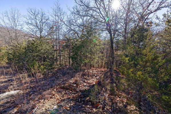 LOT 5 TERRACE DRIVE, RIDGEDALE, MO 65739 - Image 1