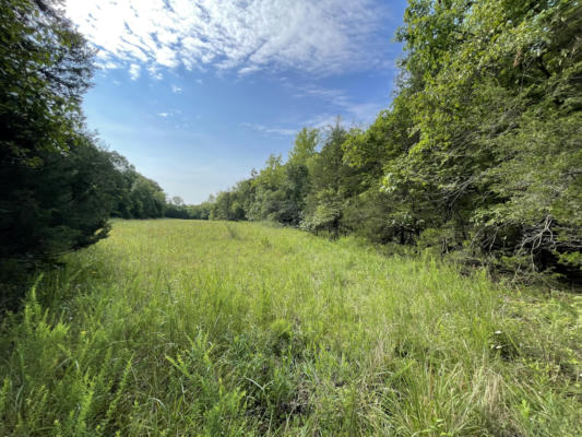 000 PANTHER HOLLOW ROAD, MANSFIELD, MO 65704 - Image 1