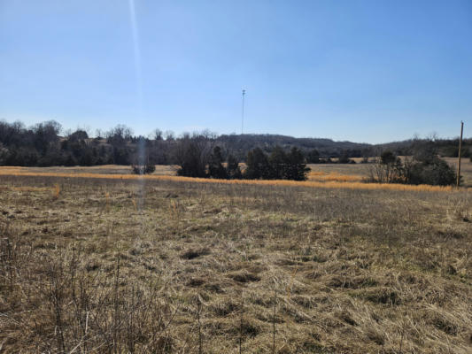 CR 160-900 US HIGHWAY 160, THEODOSIA, MO 65761, photo 2 of 10