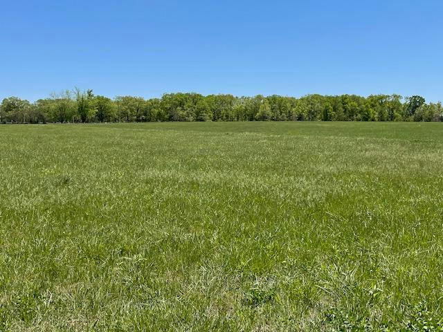 TRACT 2 EAGLES ROOST DRIVE, MOUNTAIN GROVE, MO 65711, photo 1 of 6