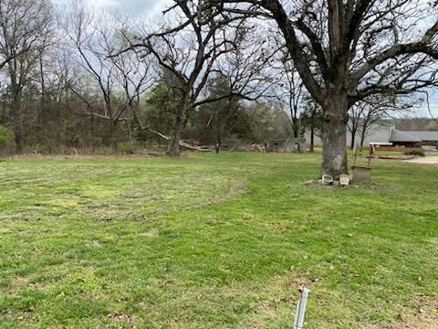10456 STATE HIGHWAY 76, FORSYTH, MO 65653, photo 2 of 2