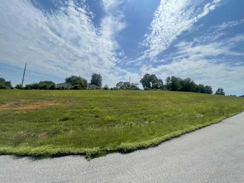LOT #10 BLACKBERRY COURTS AVENUE, CASSVILLE, MO 65625, photo 1 of 2
