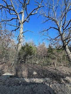 000 COUNTY ROAD 3200, MOUNTAIN VIEW, MO 65548, photo 3 of 4
