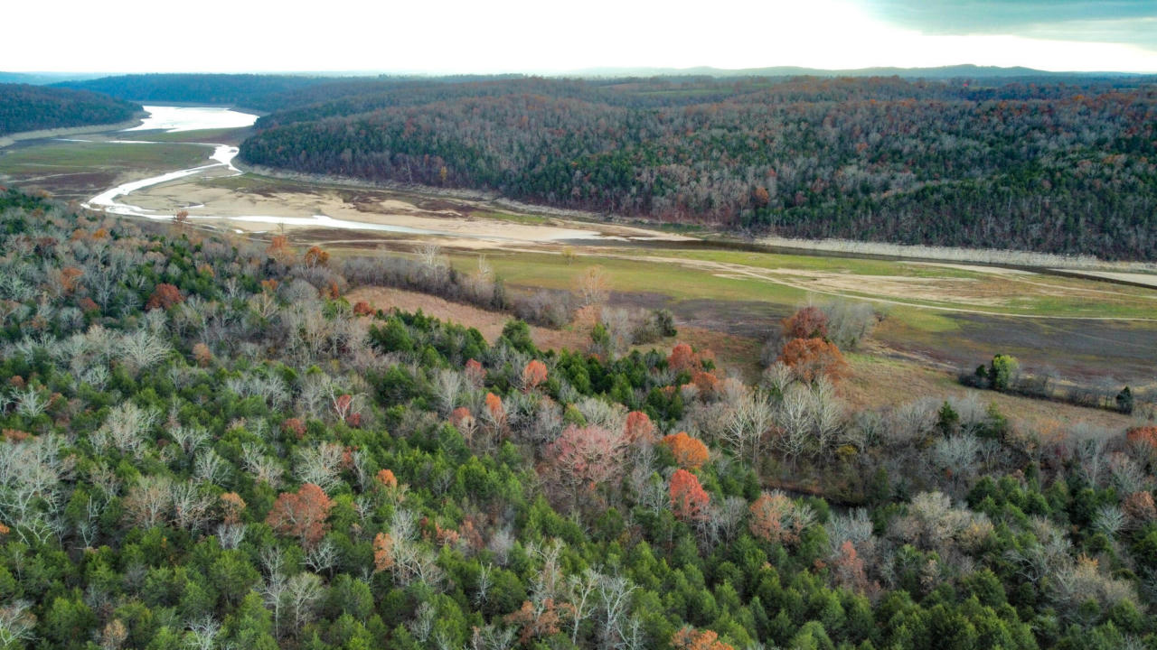 000 COUNTY ROAD 873, THORNFIELD, MO 65762, photo 1 of 8