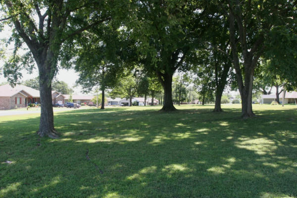 LOT 8 & 9 TWIN ISLAND DRIVE, BLUE EYE, MO 65611 - Image 1