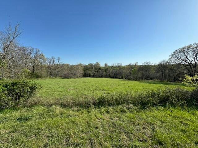 TBD HIGHWAY M, MOUNTAIN GROVE, MO 65711, photo 1 of 17