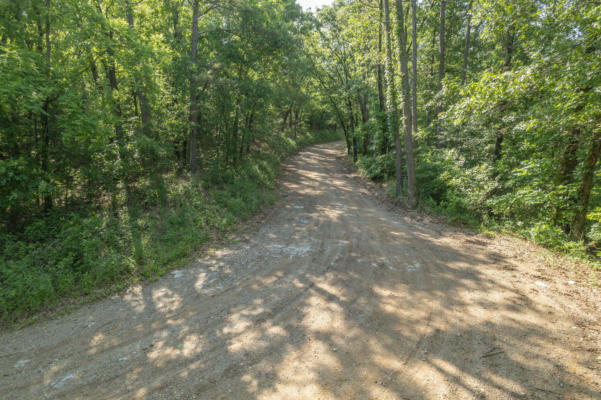 000 PACKET HOLLOW ROAD, PINEVILLE, MO 64856, photo 4 of 27