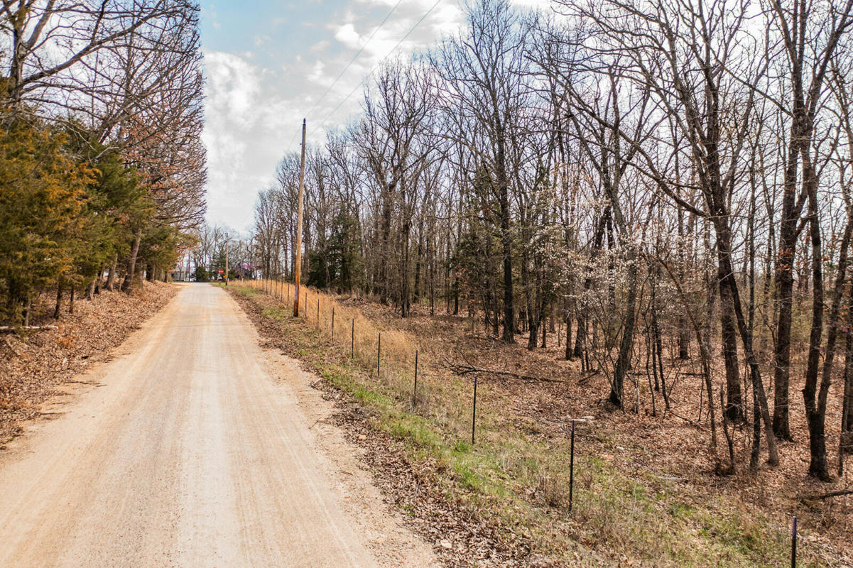 000 EARNESTVILLE ROAD, LONG LANE, MO 65590, photo 1 of 21