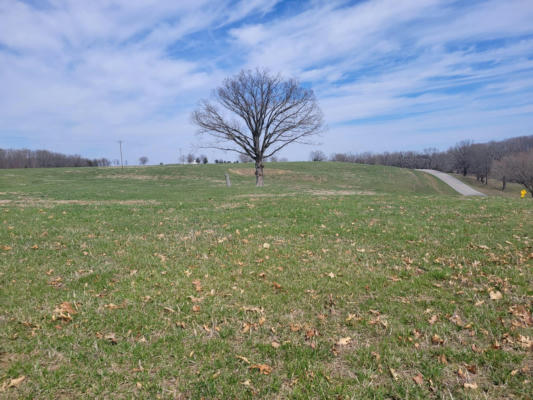 000 MM HIGHWAY, MOUNTAIN GROVE, MO 65711, photo 2 of 14