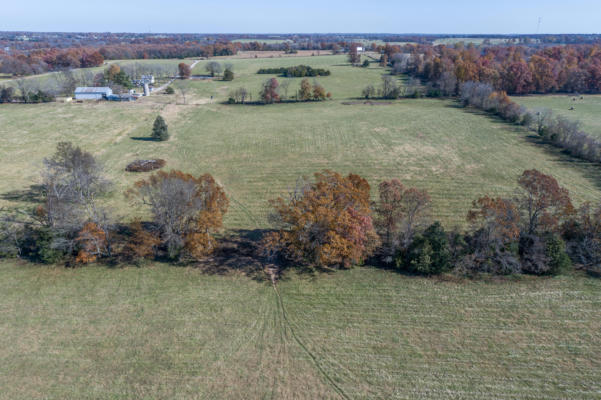 TRACT 2 VERMULE ROAD, BILLINGS, MO 65610, photo 3 of 13