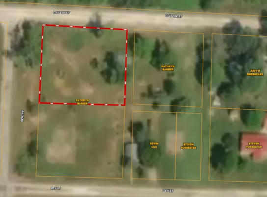 TBD GENTRY ROAD, WEAUBLEAU, MO 65774 - Image 1