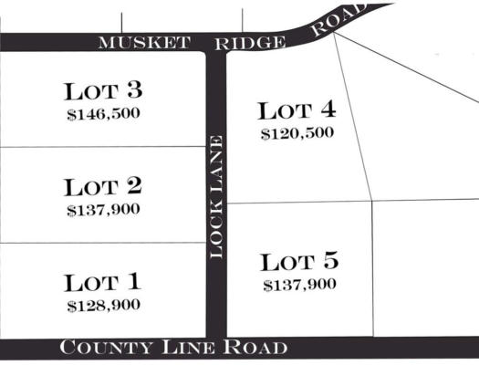 6577 S LOCK LANE # (LOT 1), REPUBLIC, MO 65738, photo 4 of 5