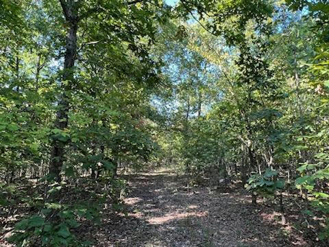 000 COUNTY ROAD 118, ANNAPOLIS, MO 63620, photo 3 of 26