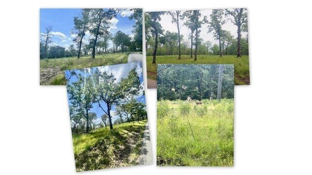 000 BLACKWELL FERRY ROAD, FORSYTH, MO 65653, photo 1 of 5