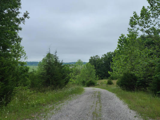 83 & 84 NIANGUA RANCH, MARSHFIELD, MO 65706, photo 5 of 9