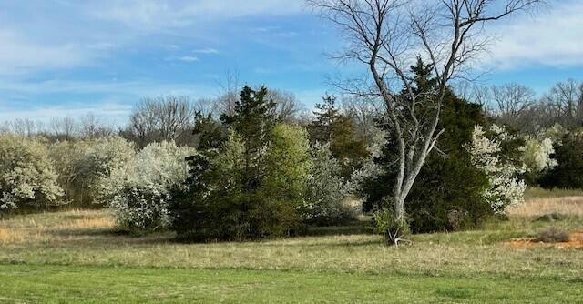 LOT #1 COUNTY ROAD 8510, WEST PLAINS, MO 65775, photo 3 of 16