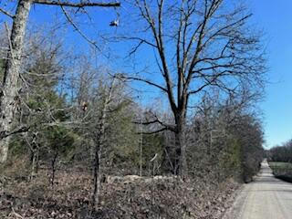 000 COUNTY ROAD 3200, MOUNTAIN VIEW, MO 65548, photo 4 of 4