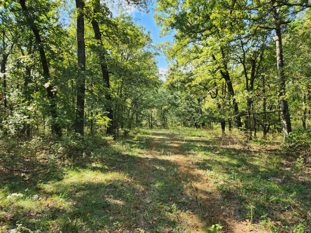 000 HIGHWAY 83 (TRACT 179), BOLIVAR, MO 65613, photo 1 of 4
