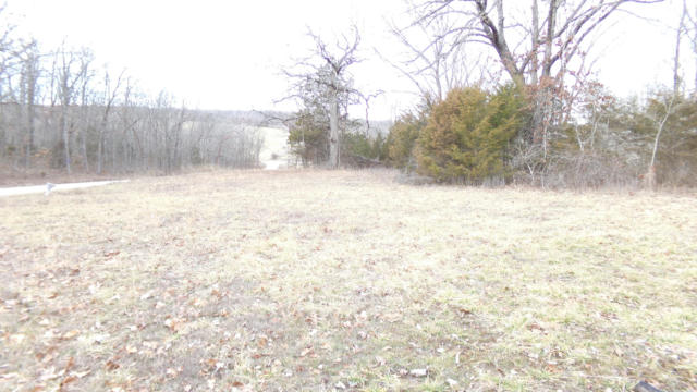 TRACT C WAYSIDE TRAIL, ELKLAND, MO 65644, photo 3 of 8