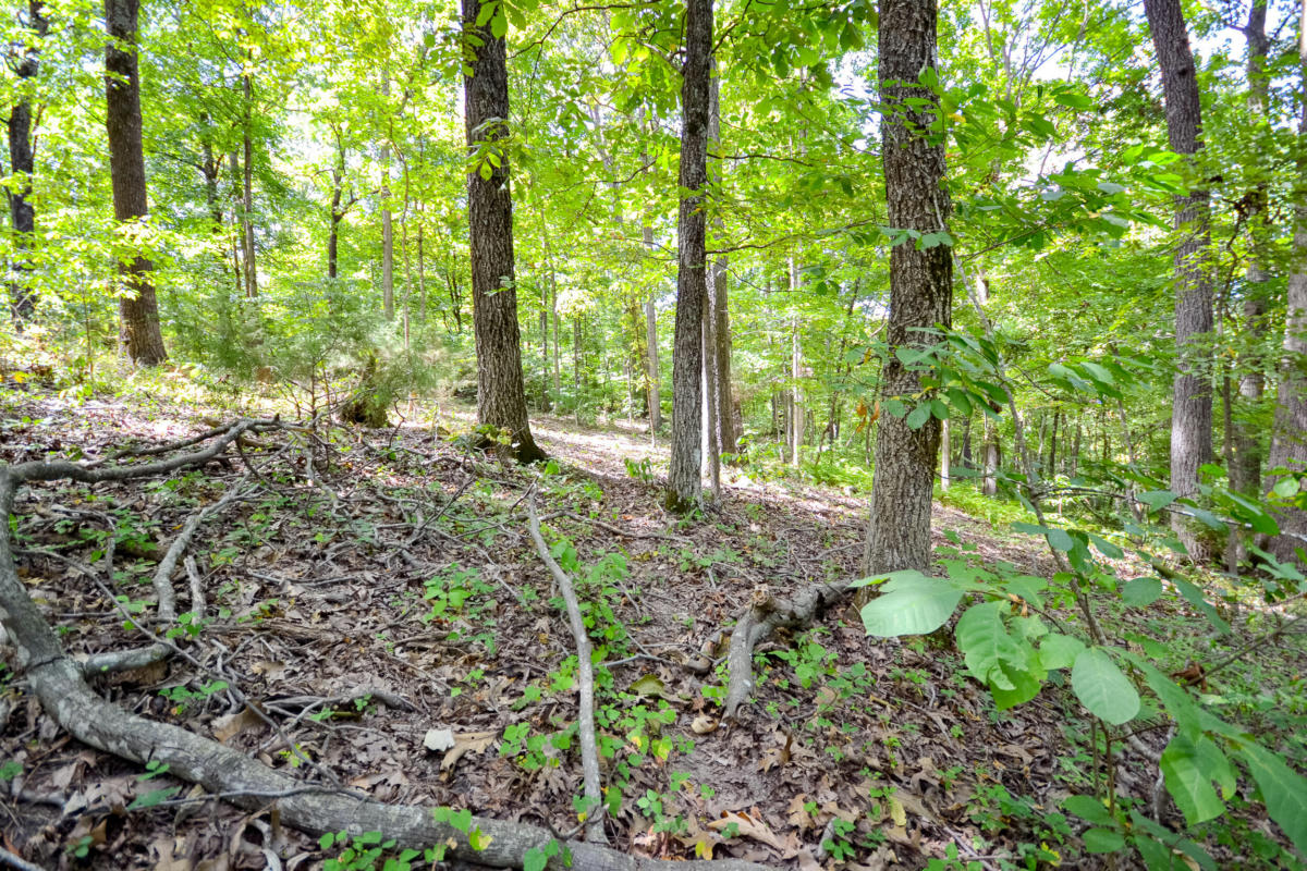 000 AUTUMN ESTATES SUBDIVISION # LOT 20, CASSVILLE, MO 65625, photo 1 of 7