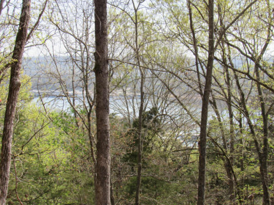 TBD-LOT 1C LAKE BLUFF DR, BRANSON WEST, MO 65737, photo 4 of 17