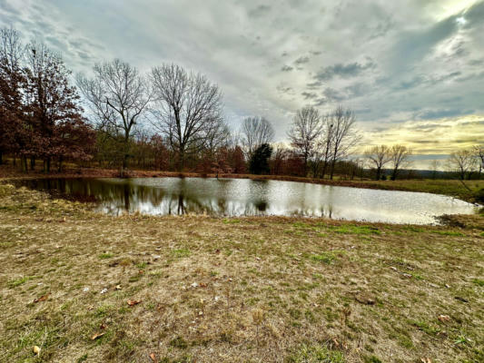 TBD COUNTY ROAD 2780, MOUNTAIN VIEW, MO 65548 - Image 1